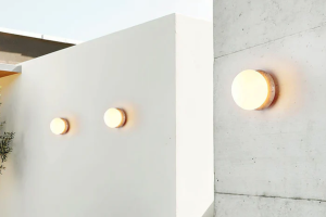 Illuminate Your Outdoor Space with Asteroid Wall Light