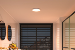 Small Apartment Lighting: Warm White Flush Mount